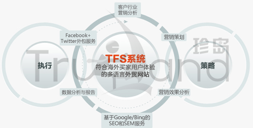 TFS系統