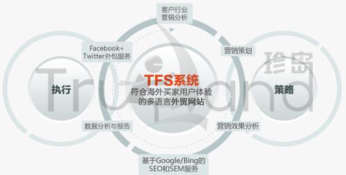 珍島TFS系統