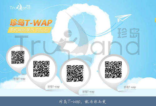 珍島T-WAP