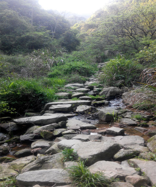 莫干山 再見！