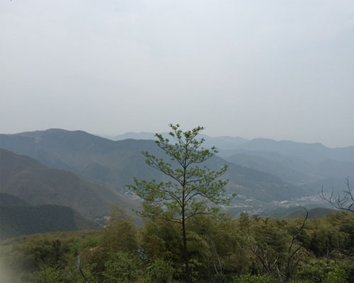 莫干山頂峰