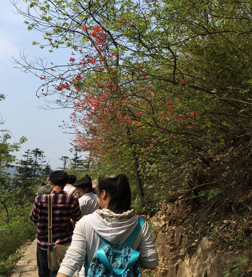 向山頂進發